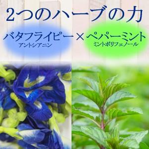 バタフライピー・ミントティー30包　バタフライピー ミントブレンド ハーブティー 蝶豆花茶 バタフライピーティー　ティーバッグ｜saika｜03