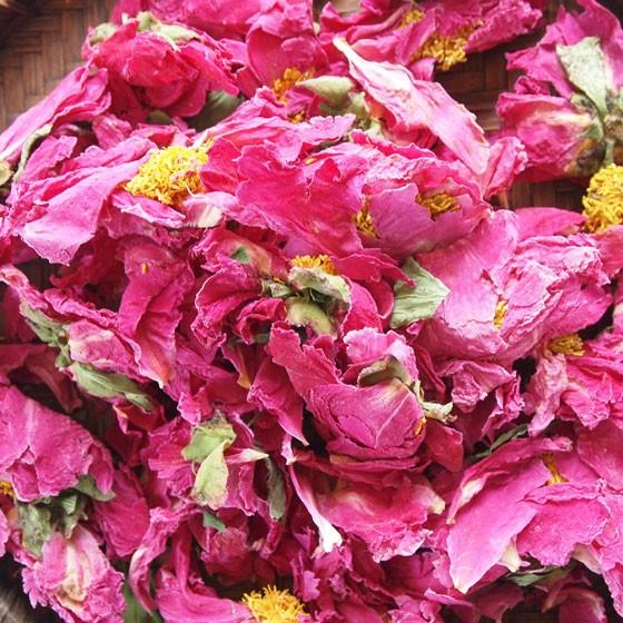 花茶 選べる 蓮 梅 蜜柑 牡丹 ドライフラワー ハーブティー ノンカフェイン お茶 彩香 通販 Yahoo ショッピング