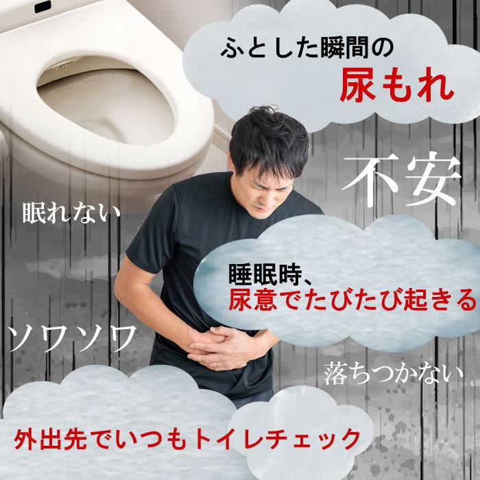 ノコギリヤシ60粒(30日分) ノコギリヤシエキス 450mg サプリメント