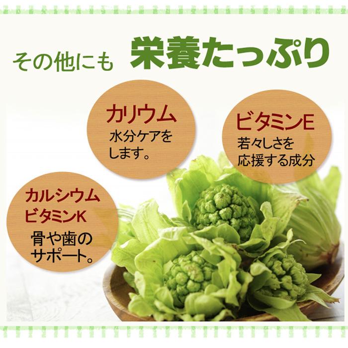 ふきのとうサプリメント90粒 ペタシン サプリメント 蕗の薹 フキノトウ