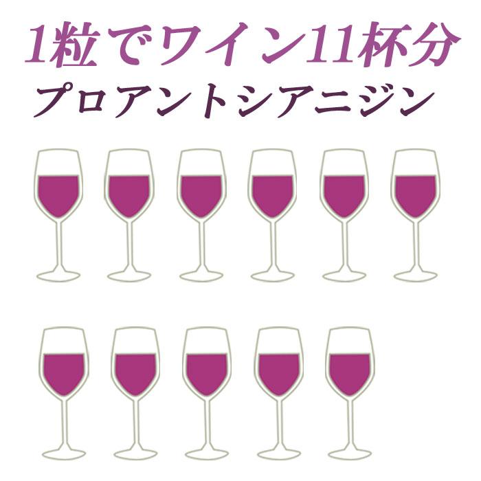 ブドウ種子エキス30粒 サプリメント プロアントシアニジン 475mg