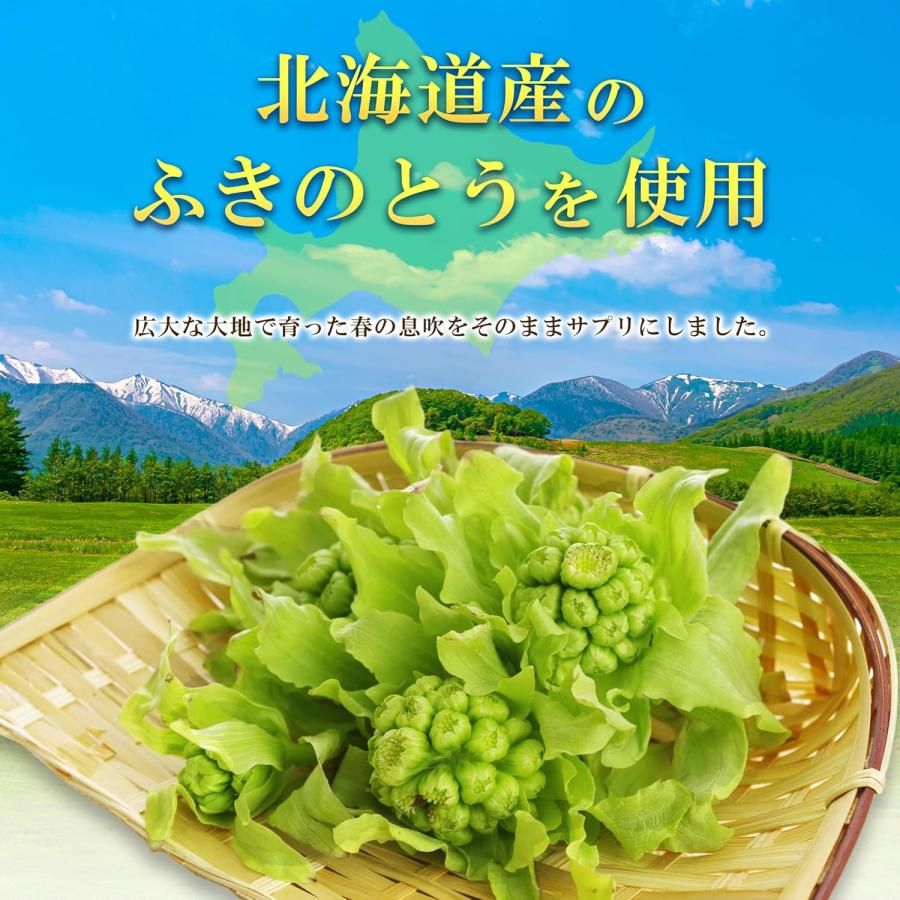 国産ふきのとうサプリメント90粒 日本産 ペタシン サプリメント 蕗の薹