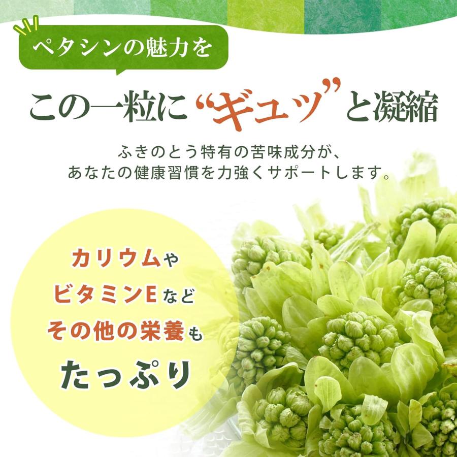 国産ふきのとうサプリメント90粒 日本産 ペタシン サプリメント 蕗の薹