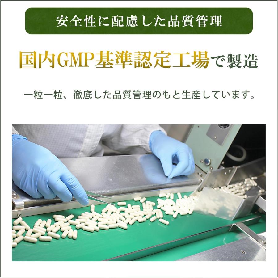 国産ふきのとうサプリメント90粒 日本産 ペタシン サプリメント 蕗の薹
