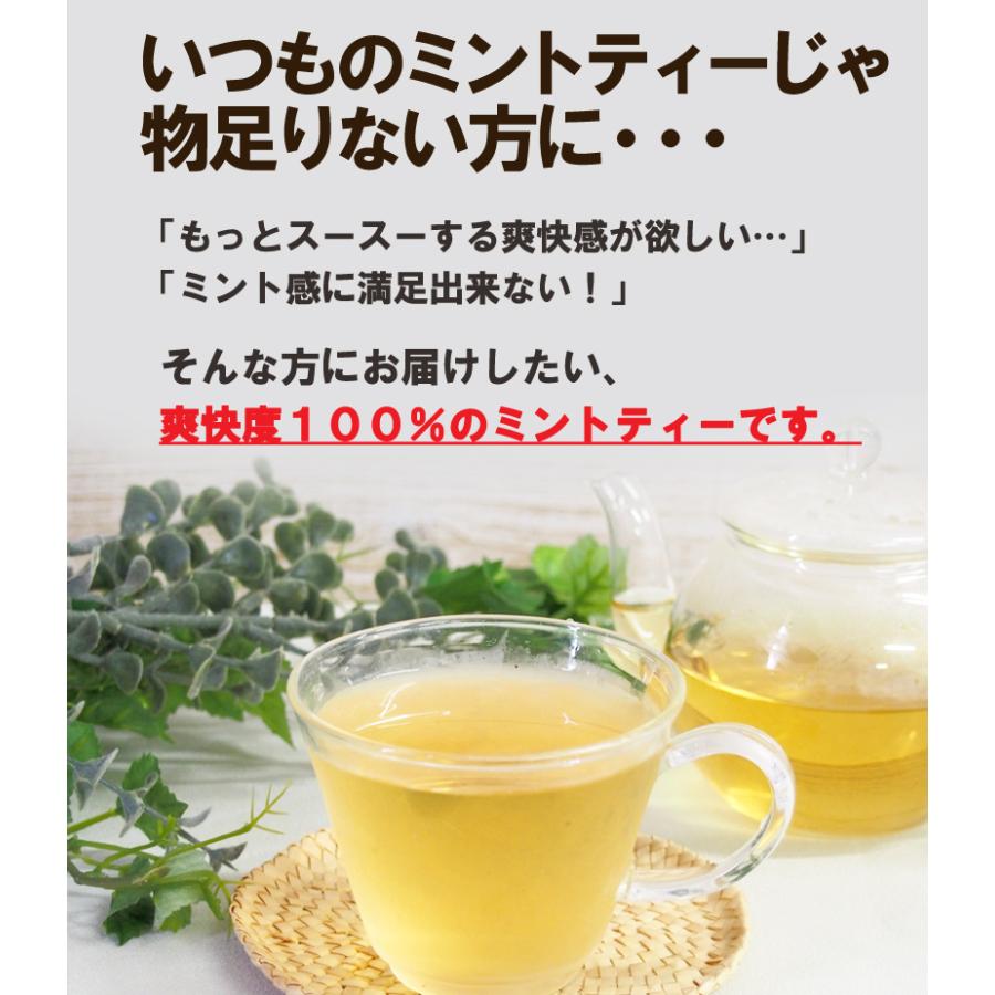 PROND ニュー陰陽五行アロマ 金（水溶性パック）ペパーミント 300mL PROND ニュー陰陽五行アロマ 金（水溶性パック）ペパーミント