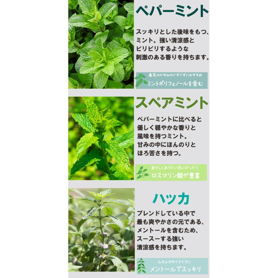 爽快ミントティー30包 ティーバッグ 水出し ハーブティー ノン