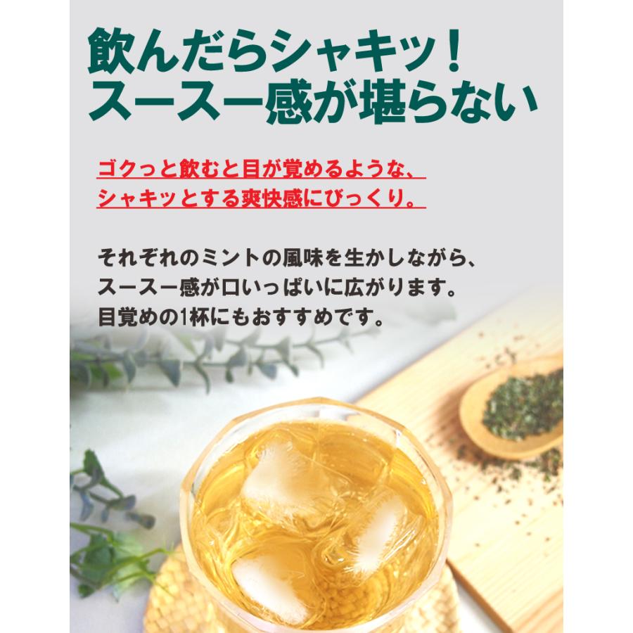 爽快ミントティー30包 ティーバッグ 水出し ハーブティー ノン