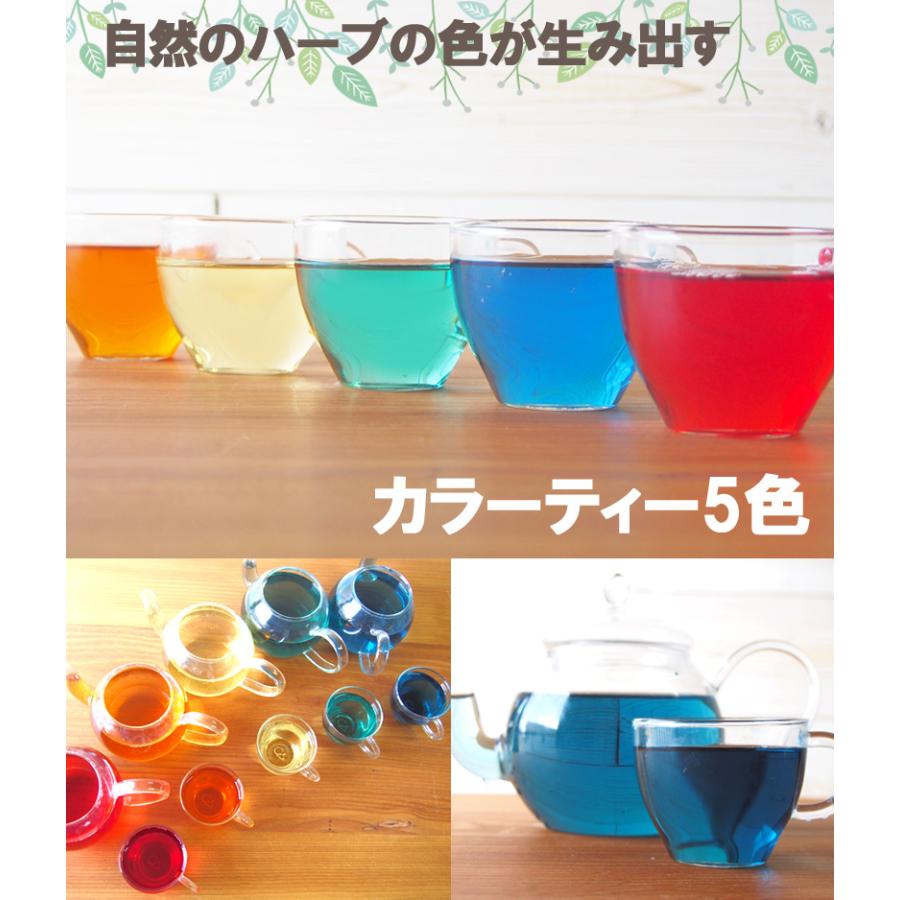 カラーティー5色×各4包 20包入り ハーブティー ティーバッグ