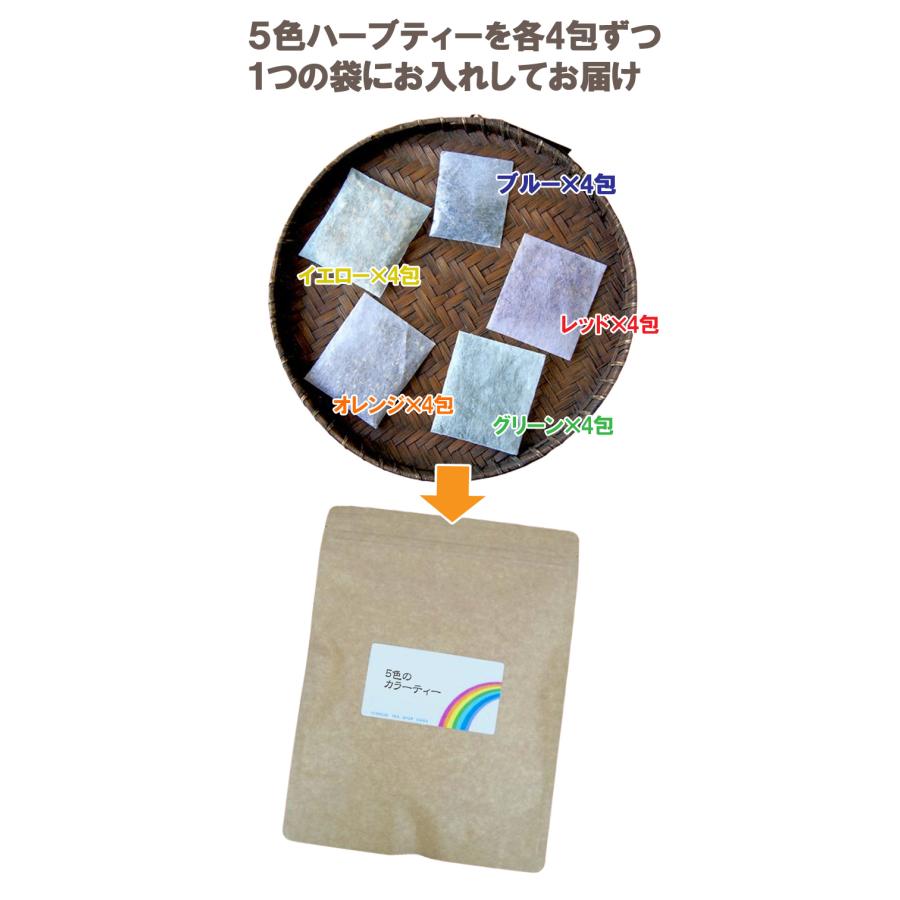カラーティー5色×各4包 20包入り ハーブティー ティーバッグ