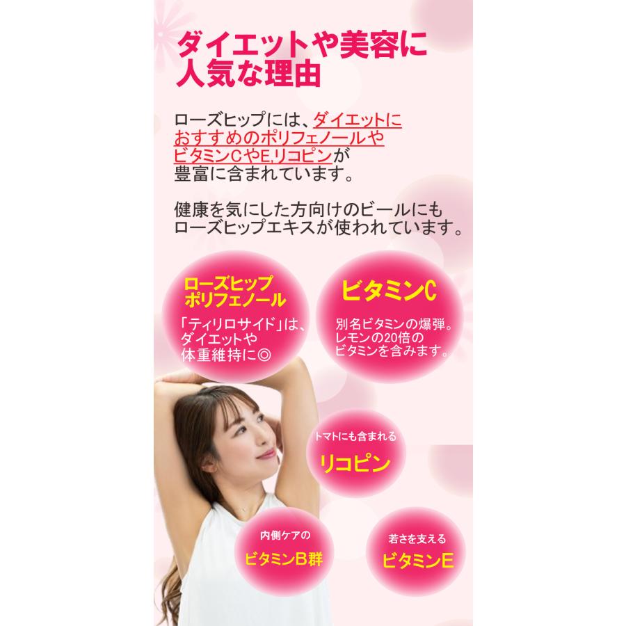ローズヒップサプリメント30粒 ローズヒップ 粉末 美容 カプセル