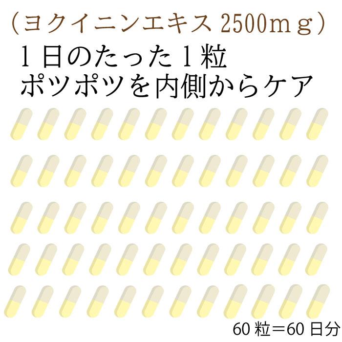 高純度 ヨクイニンエキス サプリメント60粒 (2か月分) 1粒あたり