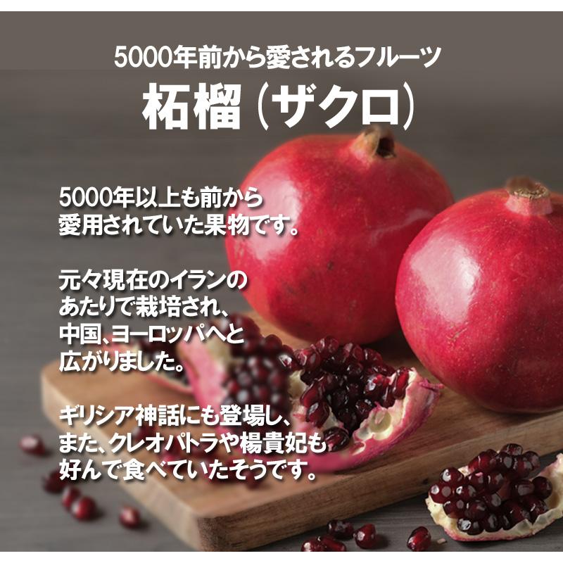 ザクロジュースエラグ酸プラス100g 粉末 美容 ダイエット 柘榴ジュース