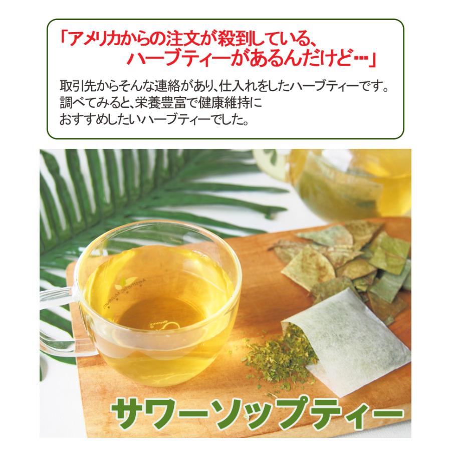 サワーソップティー20包 ティーバッグ トゲバンレイシの葉 グラビオラ