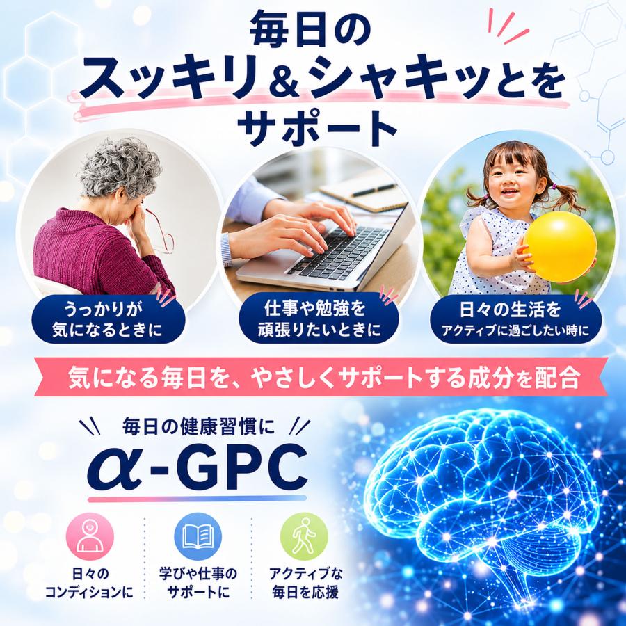 α-GPC サプリメント 30粒 500mg配合 アルファGPC グリセロホスホコリン