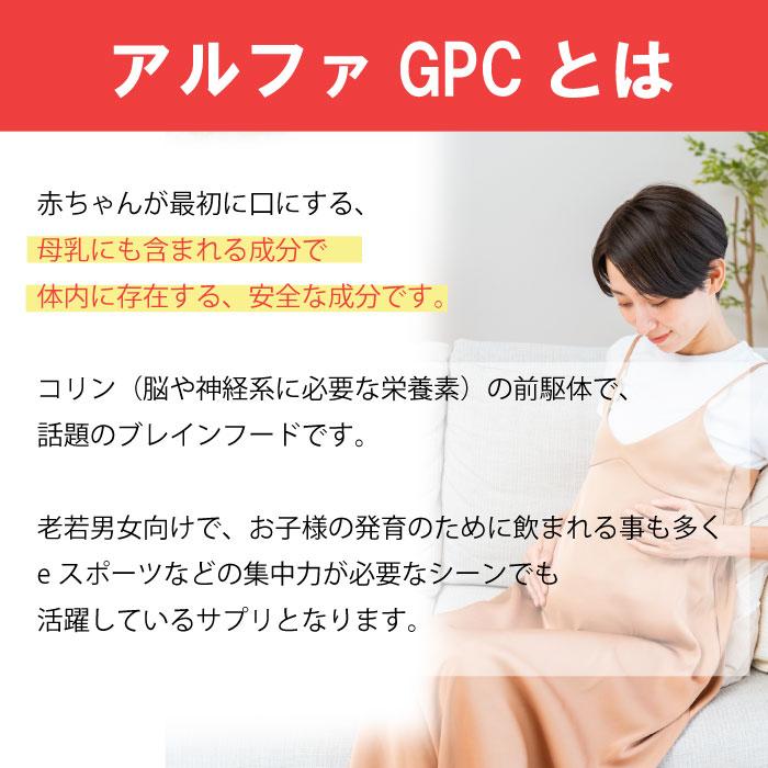 αーGPCサプリメント30粒 1粒あたり500mgαGPC アルファGPC コリン