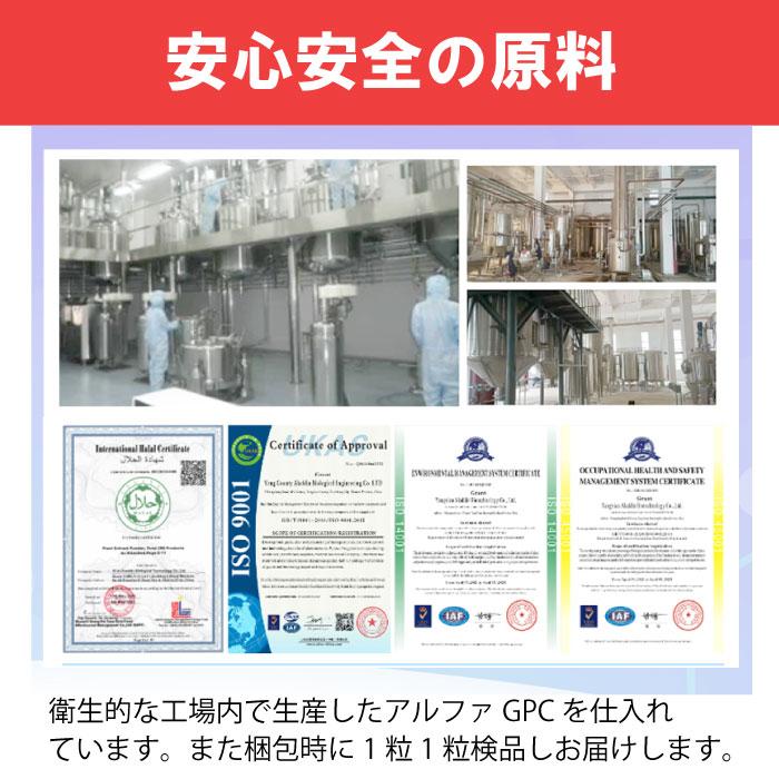 αーGPCサプリメント30粒 1粒あたり500mgαGPC アルファGPC コリン
