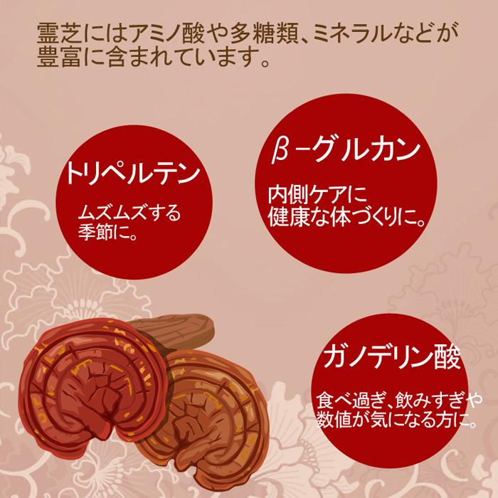 霊芝(れいし)パウダー50g 粉末 霊芝茶 多糖類30%以上 レイシ 霊芝(れいし)パウダー50g 粉末 霊芝茶 多糖類30%以上 レイシ