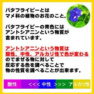 バタフライピー自由研究キット 夏休み 工作キット 小学生 高学年 中学年 実験 科学 化学 実験キット 女の子 男の子 彩香 通販 Yahoo ショッピング