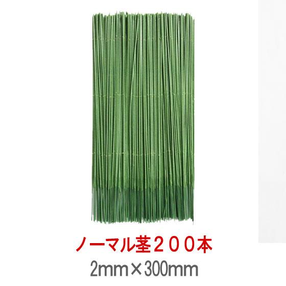 ソープフラワー 造花用 針金30cm カーネーションの茎 : 彩香 - 通販