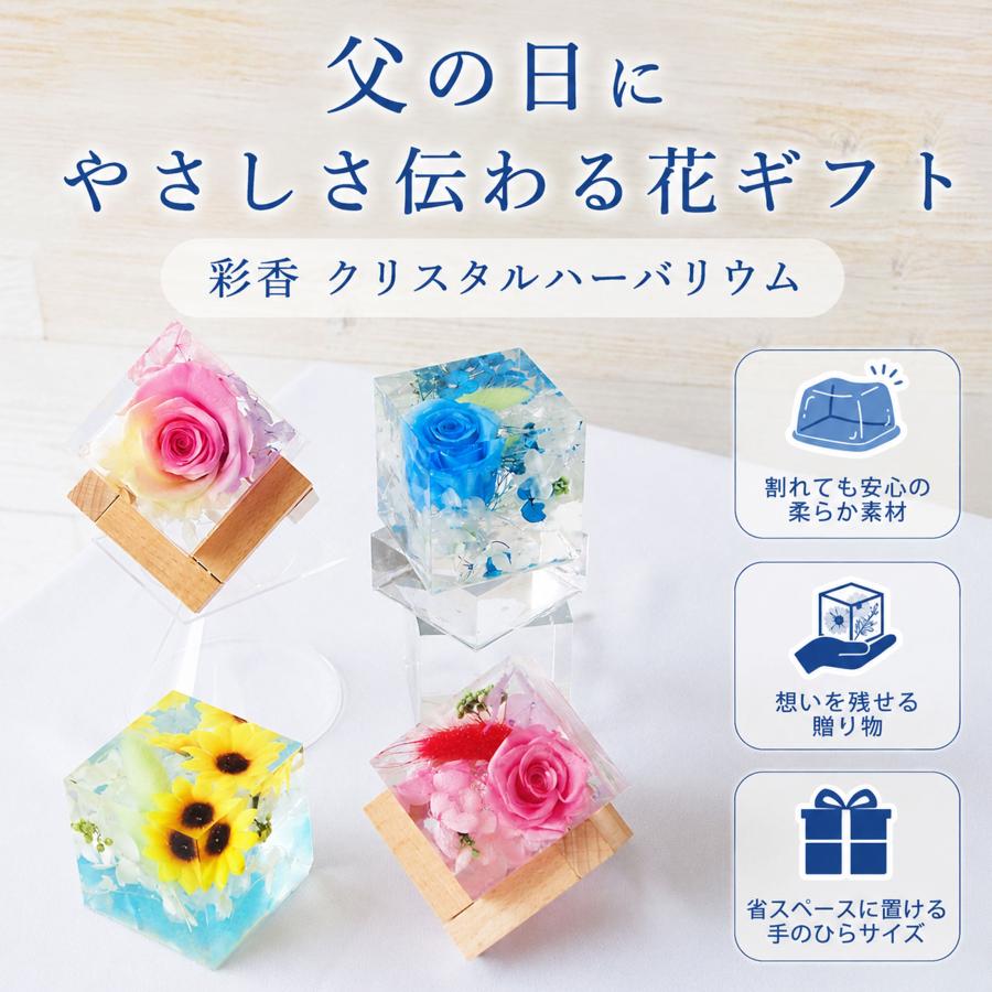 【数量限定】[フェリナス] ハーバリウム クリスタル 幸せの青い花 プレゼント Amazon｜[フェリナス] ハーバリウム クリスタル 幸せの青い花