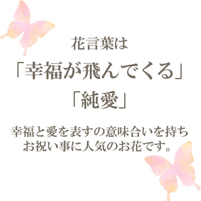 ピンク胡蝶蘭 光触媒加工 3本立ち 鉢植え 造花 1鉢 メッセージカード