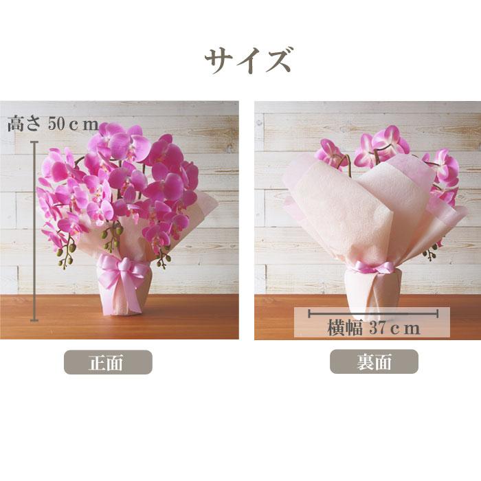 ピンク胡蝶蘭 光触媒加工 3本立ち 鉢植え 造花 1鉢 メッセージカード