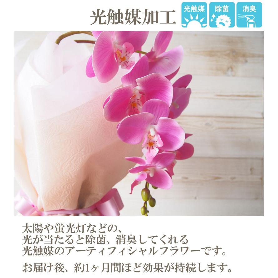 ピンク胡蝶蘭 光触媒加工 3本立ち 鉢植え 造花 1鉢 メッセージカード