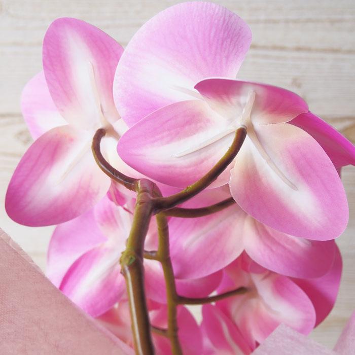 ピンク胡蝶蘭 光触媒加工 3本立ち 鉢植え 造花 1鉢 メッセージカード