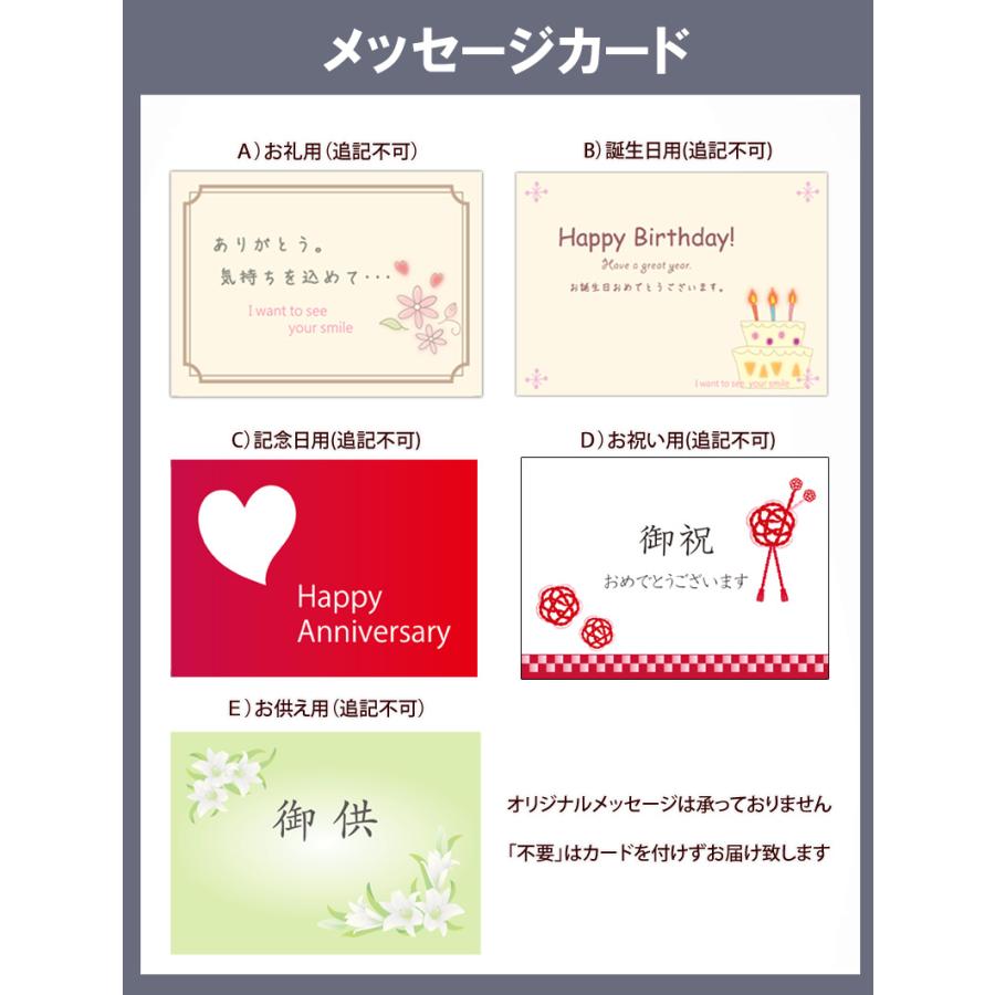 ピンク胡蝶蘭 光触媒加工 3本立ち 鉢植え 造花 1鉢 メッセージカード