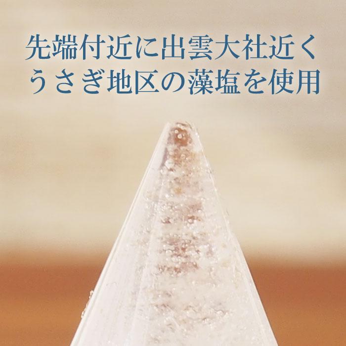 開運 交換しない盛り塩 1個 専用台付き ヒイラギ 邪気払い 風水グッズ