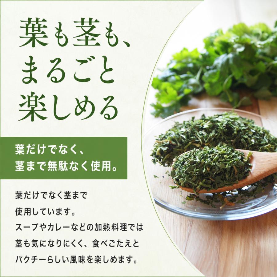 乾燥パクチー150g パクチー 香菜 シャンツァイ コリアンダー 送料無料