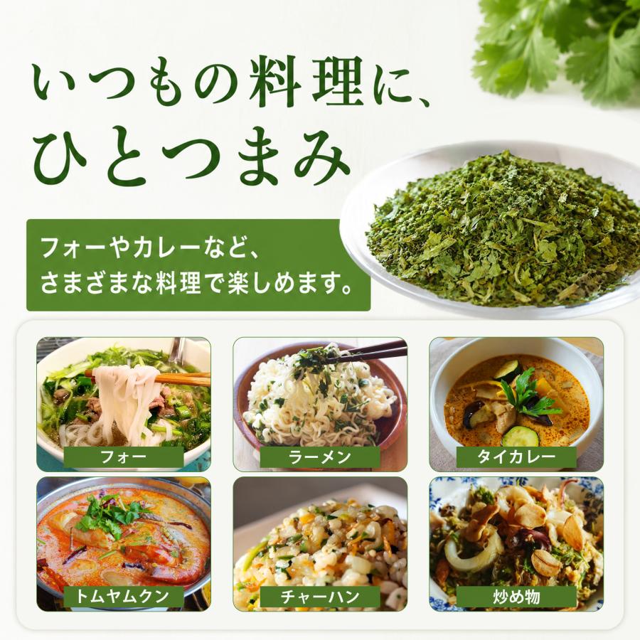 乾燥パクチー150g パクチー 香菜 シャンツァイ コリアンダー 送料無料