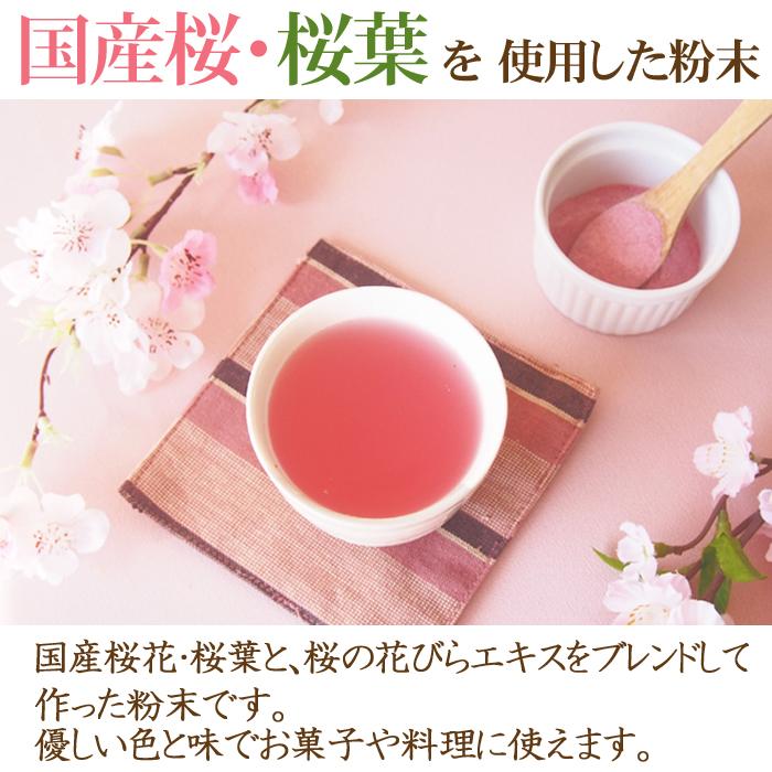 花粉 里仁 Leezen 天然泡立たないハミガキ（歯磨き粉）｜里仁 潔淨無