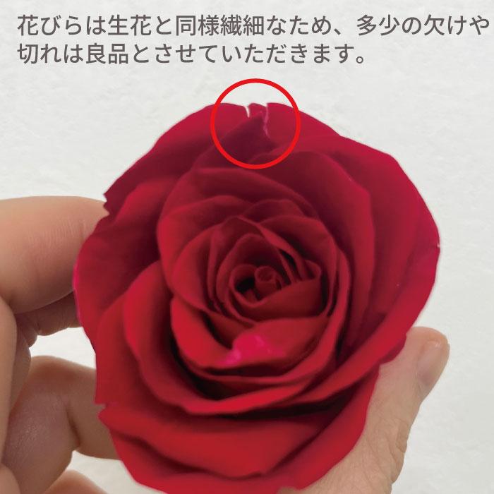お好きな本数で選べる花束 プリザーブドフラワー 19,500円〜 ローズ バラ 50〜108本 プロポーズ |  | 04