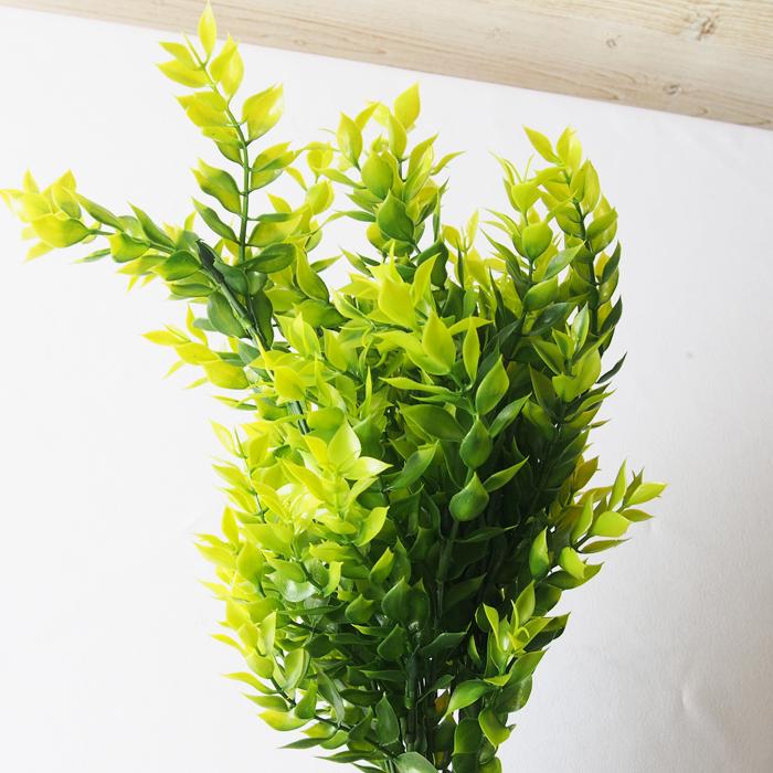 アーティフィシャルグリーン 造花 ルスカス 1個 56cm×23cm 葉物