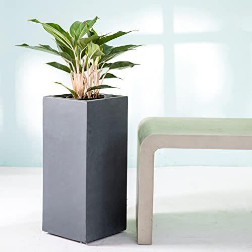 Kante AF0002B-60121 Concrete Rectangle Tall, Large Outdoor/Indoor Planter P