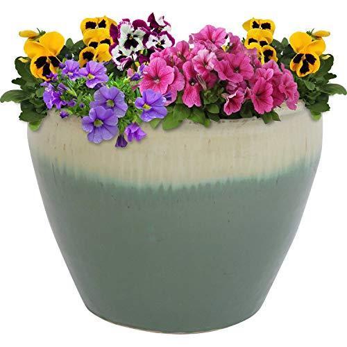 【激安】Sunnydaze Chalet Ceramic Flower Pot Planter with Drainage Holes 15-Inch