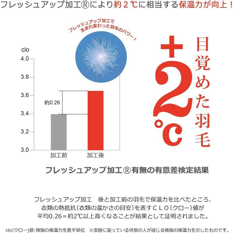 掛けふとん アイボリー シングル 羽毛布団 西川 (Nishikawa) プレミアム 02.ホワイトグースダウン90% 日本製 抗菌防臭 羽毛偏り｜saikou2021｜05