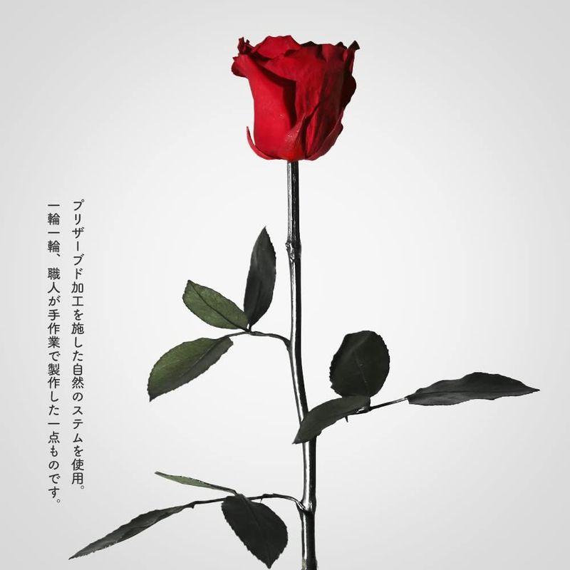 Makefuture Diamond Rose プリザーブドフラワー 花 バラ プレゼント プロポーズ 記念日 ダイヤモンドローズ 1輪 マ｜saikou2021｜02