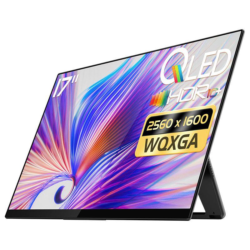 モバイルモニター EHOMEWEI 2.5K 17インチ WQXGA 2560x1600 QLED 量子 