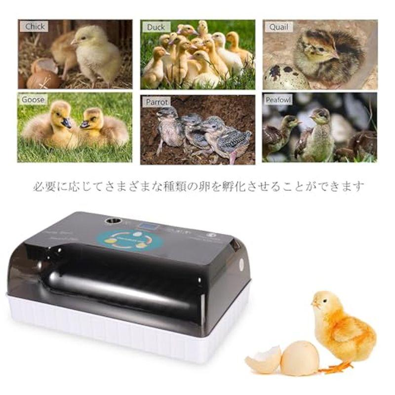 ELEOPTION 自動孵卵器 インキュベーター 孵化器 孵卵機 自動転卵 ELEOPTION 自動孵卵器 インキュベーター 孵化器 孵卵機 自動転卵