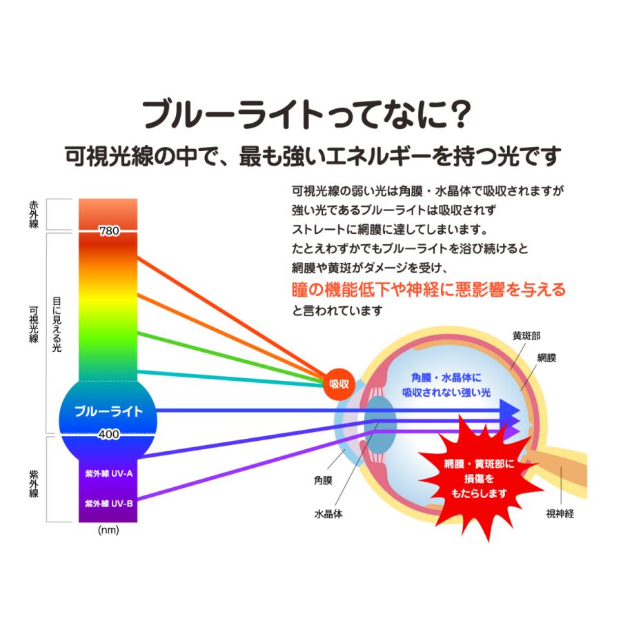 液晶テレビ保護パネル 50型対応 ブルーライトカット 固定ベルト付