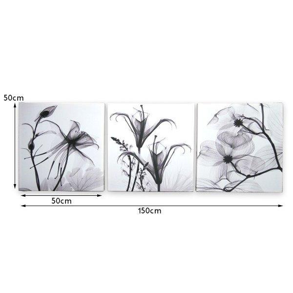 インテリアアートパネル 油彩絵画 壁掛け装飾 モダン 雑貨 X線 レントゲン モノクロ 白黒 花 スタイリッシュ 50 50cm3枚セット 22 q 彩sai菜na 通販 Yahoo ショッピング