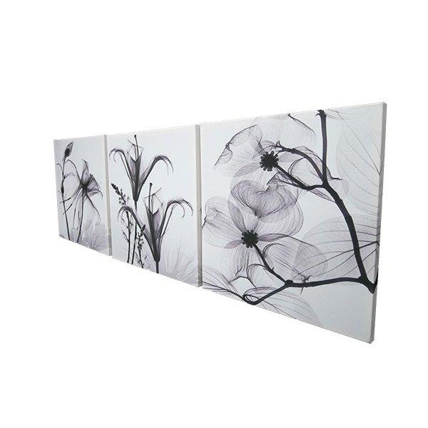 インテリアアートパネル 油彩絵画 壁掛け装飾 モダン 雑貨 X線 レントゲン モノクロ 白黒 花 スタイリッシュ 50 50cm3枚セット 22 q 彩sai菜na 通販 Yahoo ショッピング
