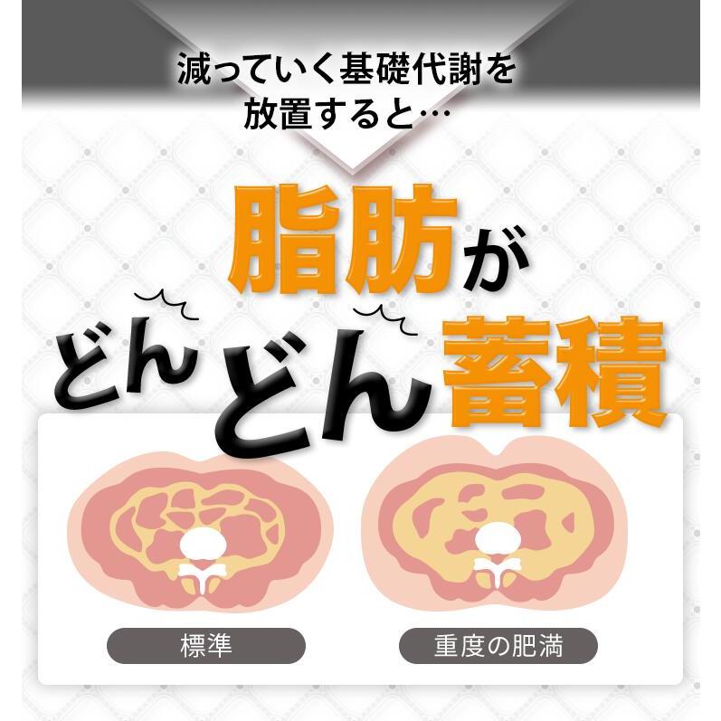 サン・クラルテ製薬 サプリ ダイエット 機能性表示食品 カルカラ サン・クラルテ製薬 サプリ ダイエット 機能性表示食品 カルカラ