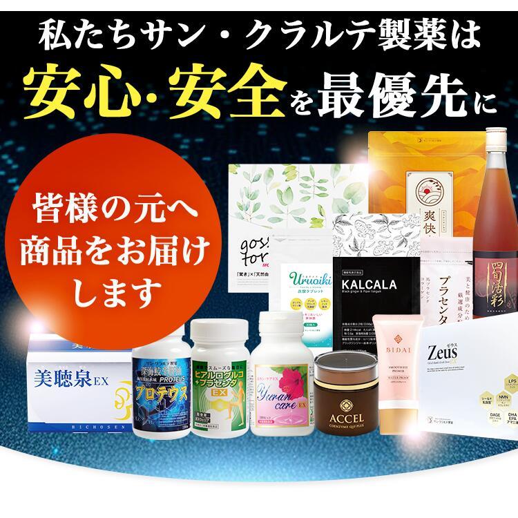サン・クラルテ製薬 ほうじ茶 ティーバッグ 爽快恵茶 1包 5g × 30包