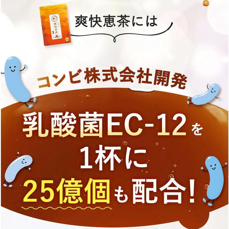 サン・クラルテ製薬 ほうじ茶 ティーバッグ 爽快恵茶 1包 5g × 15包
