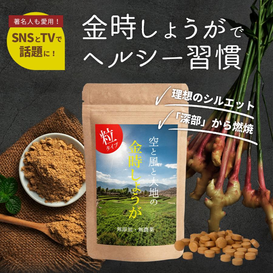 金時しょうが 粒タイプ 120粒 【送料無料】無添加・無農薬栽培 金時しょうが 粒タイプ 120粒 【送料無料】無添加・無農薬栽培