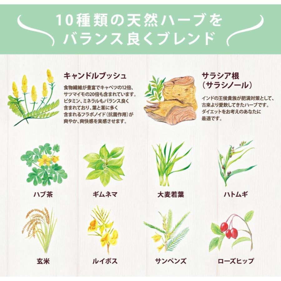 おトク ハーブルサクセス ダイエッティー 1箱 30包 エステサロン ハーブティー 60種の天然ハーブ スッキリ 出す カロリー 抑える 燃やす 運動前 水分補給 ショウガ ギムネマ 唐辛子 ルイボス プーアル ローズヒップ Tamfi Com