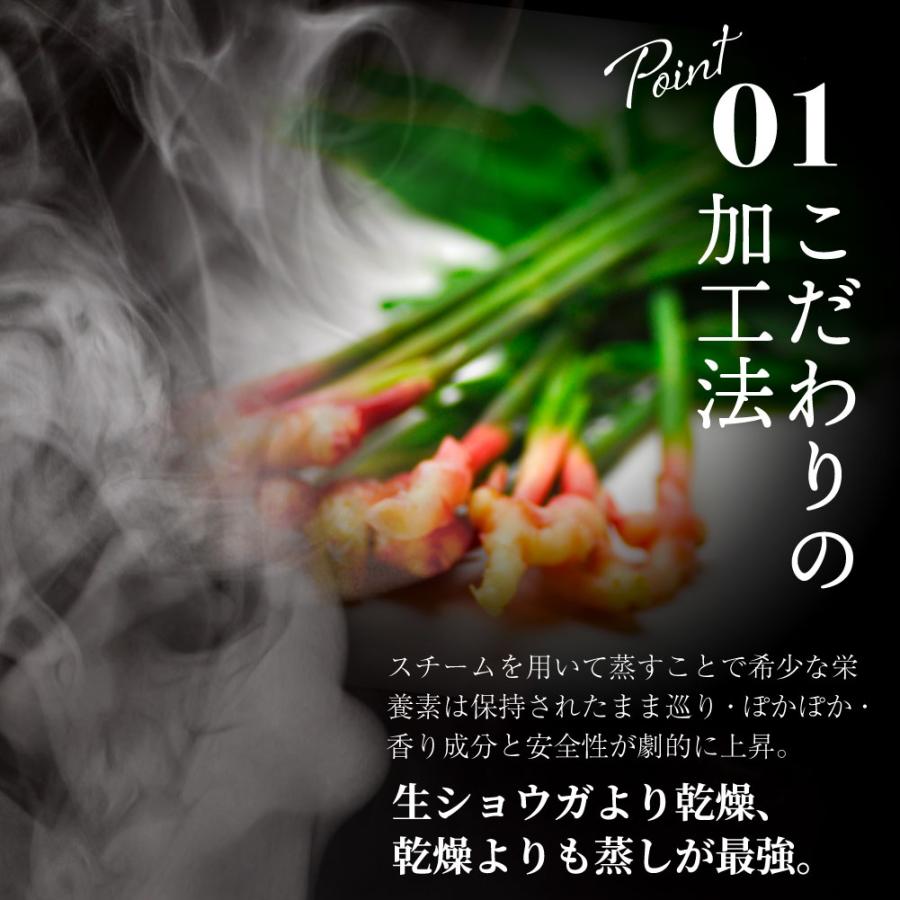 無農薬・無添加】蒸し金時しょうが 粉末 100g 【送料無料】 : 虎 無農薬・無添加】蒸し金時しょうが 粉末 100g 【送料無料】 : 虎